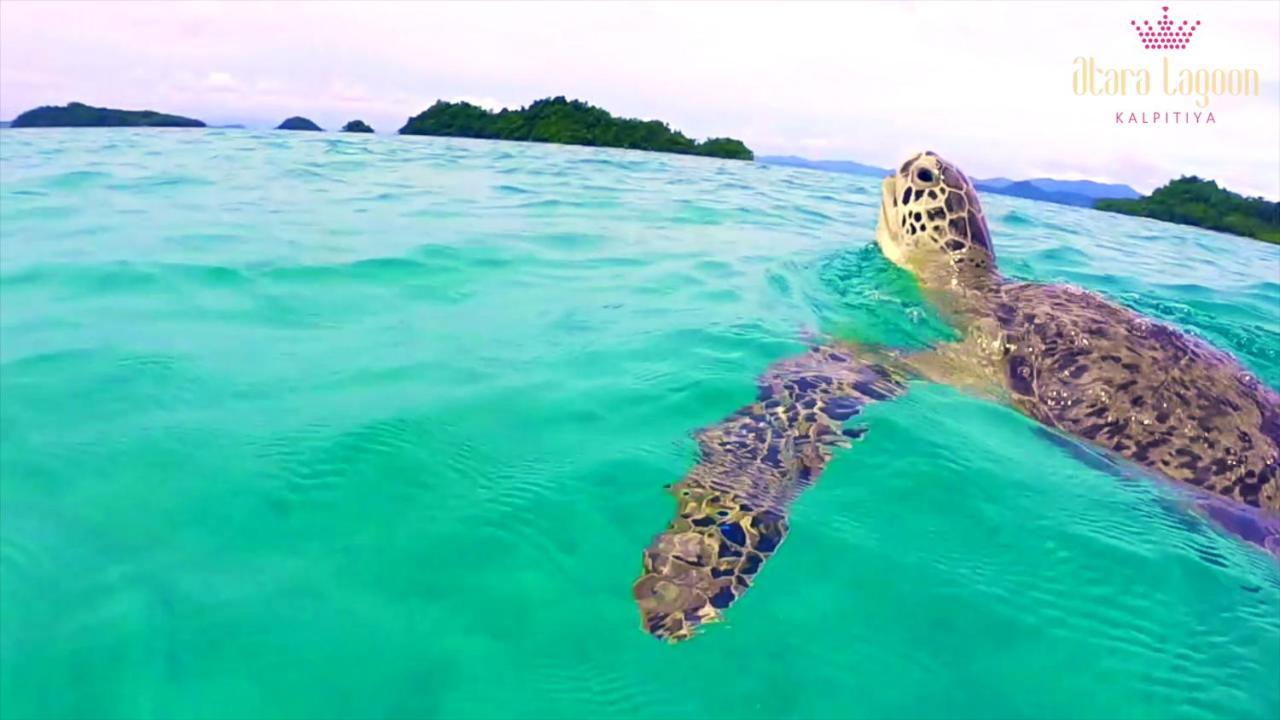 Atara Lagoon Kalpitiya Dış mekan fotoğraf